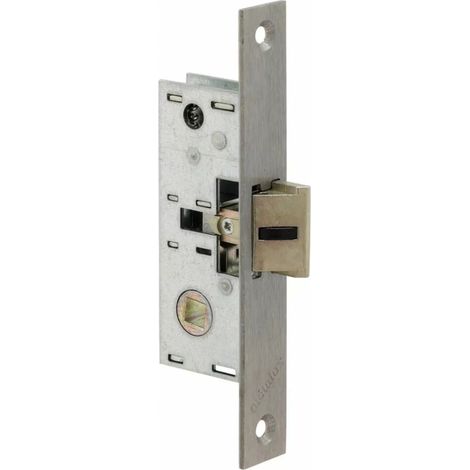 Metalux – Bec de cane avec gâche 39,5 mm – Axe 24,5 mm – Sécurité optimale pour portes et fenêtres – Installation facile - AXE24