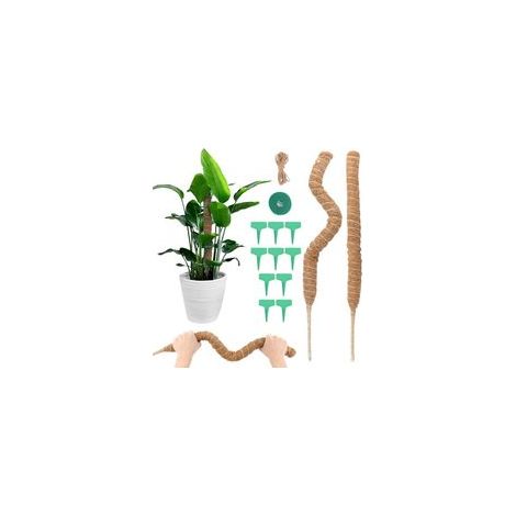 Tuteur Monstera, 2pcs 70cm Tuteur Plante Grimpante avec Accessoires Tuteur Monstera Pliable Support de Plante Tuteur de Coco, Support pour Plante Grimpante pour Plantes de Jardin et Po (1/5)