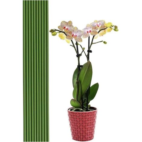 20 tiges de support pour plantes vertes de 40 cm - Pour jardin, maison, jardinage, fabrication de trépieds