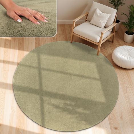 Tapis Salon Moelleux Ultra Doux à Poils Courts - Antidérapant, Lavable, Confort Idéal pour Salon et Chambre, Dimension:160 cm Rond, Couleur:Vert Clair (1/5)