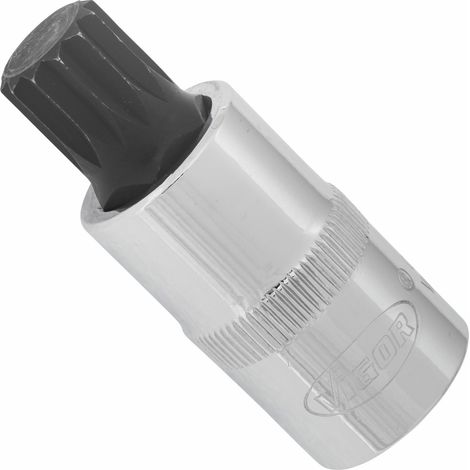 Douille tournevis à denture M14 mm 1/2" (1/4)