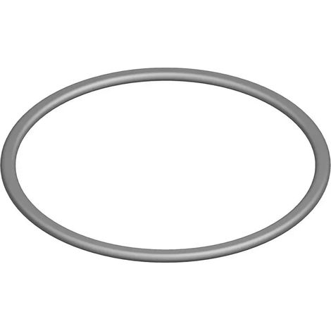BOSCH O-Ring (10x), 87002051200
