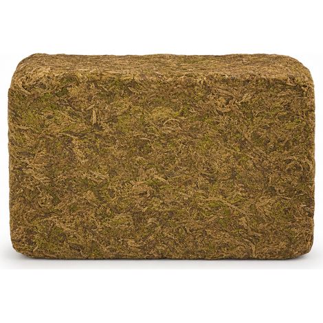 Sphaigne Compressée 300 g pour Orchidées et Plantes Vertes (1/5)