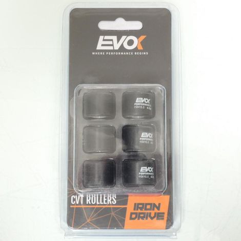 Variomatik-Rolle EVOK für Roller Piaggio 50 ZIP 2T AC 2009 bis (1/4)