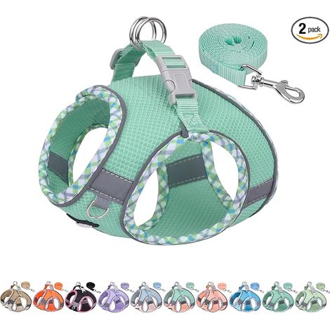 Dog Harness and Lead Set, Puppy Harness with Mesh, Puppy Essentials for Small Dogs, Cats Turquoise XS (1/5)