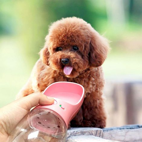 Bouteille d'eau pour chien, étanche avec distributeur d'eau, adaptée aux promenades en plein air des animaux de compagnie (rose, 350 ml) (1/2)