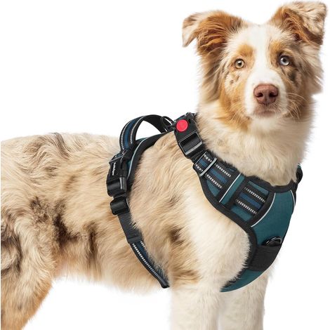 Harnais Chien avec 3 Boucles, Facile à Mettre et à Enlever, Harnais Anti Traction pour Chien avec Poignée et Attache Devant, Réglable, Réfléchissant, Arnet pour Chiens Moyen, Vert Foncé, M (1/5)