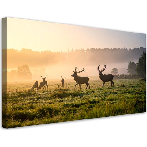 Tableau déco Cerfs en rut dans la brume 100x50 (1/4)