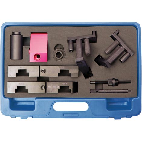 Kit  di attrezzi  di messa  in fase  motore  BGS  per  BMW  M62  Vanos  - 8602 (1/4)
