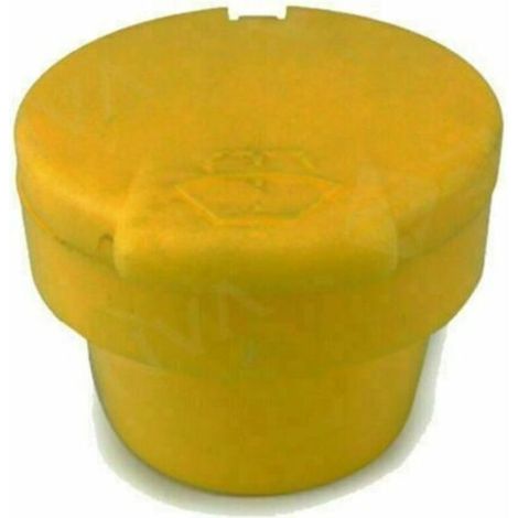 Couvercle de Bouteille de Lave-glace Compatible avec 289130004R (1/4)
