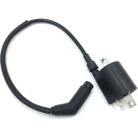 Bobine d'allumage et fil neufs 22012 pour Linhai 260 300 400 500 520 550 EFI ATV Quad UTV (1/5)