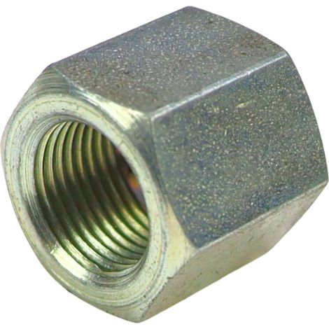 Thermoplastische Schlauchmutter PZL-Hydraulik M12x1 Kabinenschläuche Renault LKW (1/3)