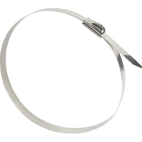 Lot de 20 serre-câbles en acier inoxydable 300 mm x 7,9 mm Résistant aux UV et aux intempéries Pour l'extérieur Résistance à la traction jusqu'à 100 kg (1/2)