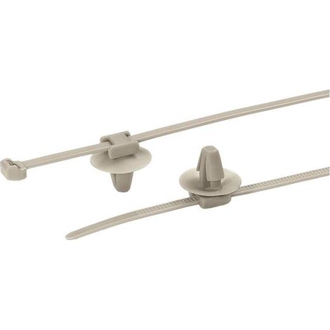 HellermannTyton 156-01091 PT2AP2SFT6.5-PEEK-BGE Fascetta per cavi 145 mm 3.4 mm Beige 1 pz.