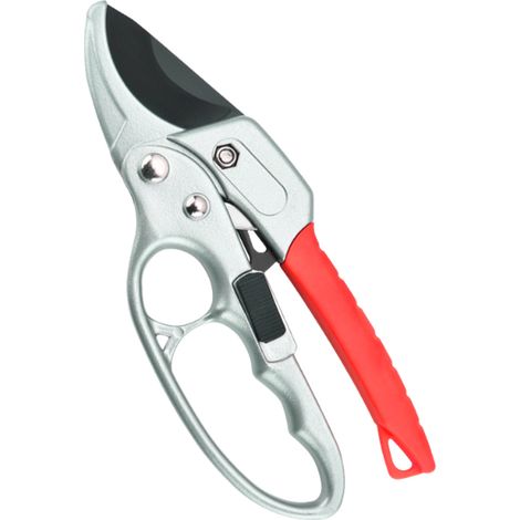 Sécateur de Précision à Main - Pour Taille et Élagage Léger - Outil de Jardin (1/5)