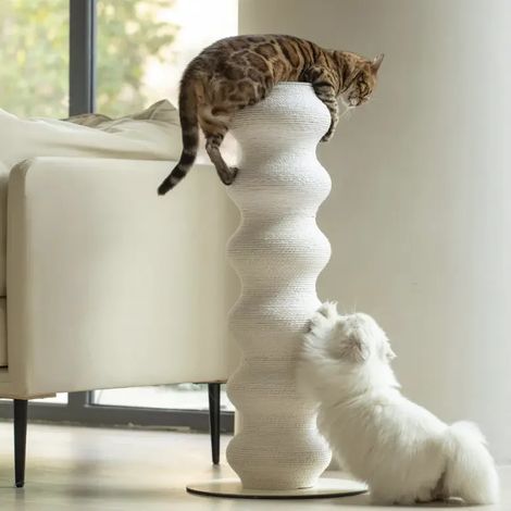 Katzenkratzbrett, riesiges gebogenes Katzenklettergerüst, verschleißfest, umweltfreundliches Rattan, zum Klettern/Ausruhen/Wohnen