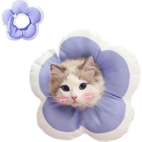 1 Collier de récupération, Coton, Réglable, Imperméable, Pour chat et petit chien, Post-opératoire (1/5)