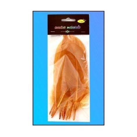 Plumas duras de color marrón claro, 10 unidades