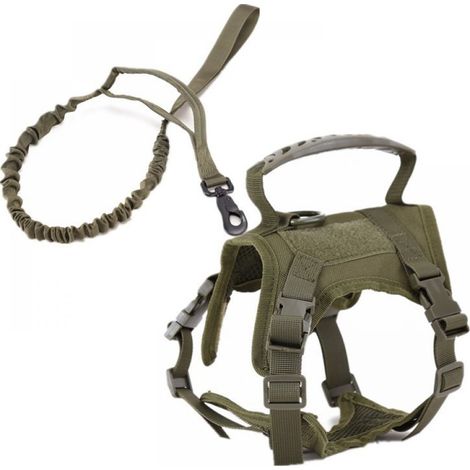 Harnais pour chat pour les promenades en extérieur, gilet de dressage tactique ajustable pour chaton (1/5)