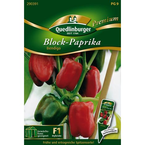 Quedlinburger Saatgut – Poivron carré Bendigo F1 – Graines de légumes, hybride très précoce, hauteur env. 60 cm (1/2)