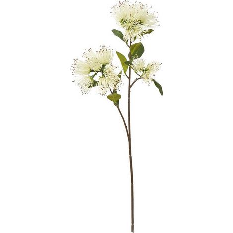 Protea Nitida Spray (Single Stem Flower) - Plastic - Height 65 cm - Cream