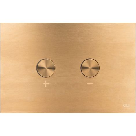 Placca doppio tasto Blink Oro Light Spazzolato cassetta incasso Oli (1/3)