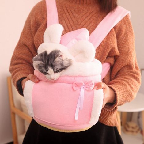 Warme Haustiertragetasche, kleiner Katzen- und Hunderucksack, Winter-Plüsch-Haustierkäfig für Reisen im Freien, Hängetasche für Haustiere – Größe L – Rosa (1/3)