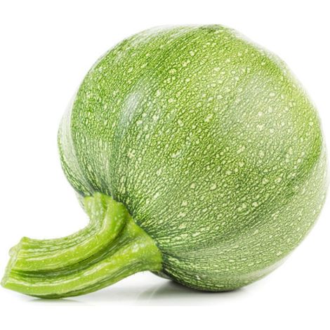 Semi di zucchino "Tondo chiaro di Nizza" piante per orto e giardino coltivazione domestica e professionale