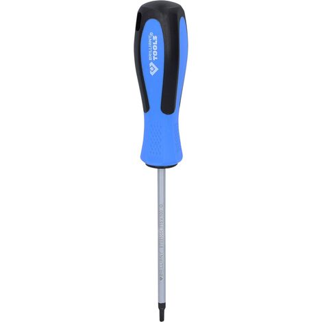 BRILLIANT TOOLS destornillador TORX T15 x 100 mm - BT031044