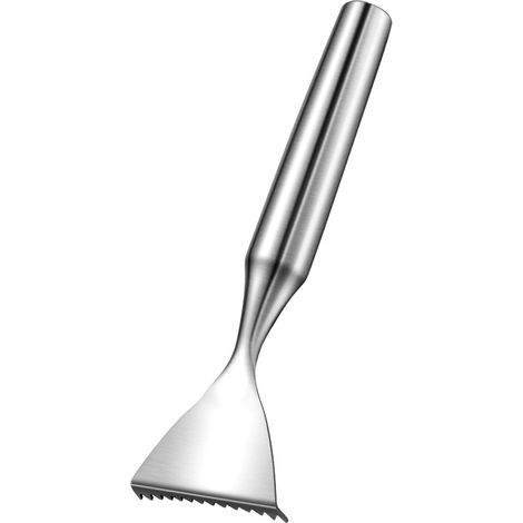 BEBUSINGOTO raspador de escamas de pescado, raspador de escamas de pescado de acero inoxidable, cepillo para escamas de pescado, removedor de escamas de pescado, adecuado para cocina, restaurante y ot (1/5)