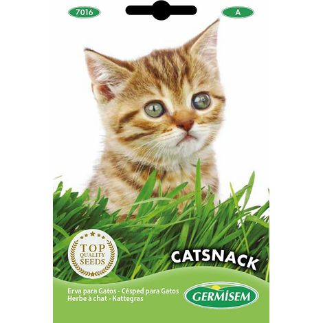 Graines de Herbe pour de Chats 10 g