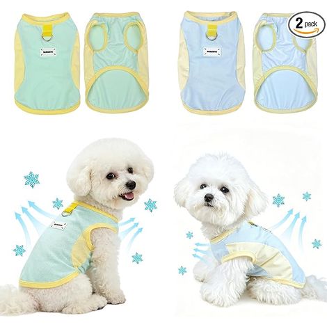 Veste de refroidissement de chien Veste de chien avec anneau D Veste d'été cool pour petits chiens moyens Bleu vert L