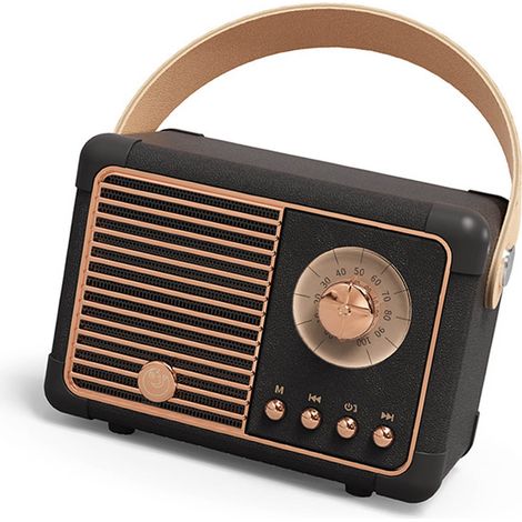 Enceinte Bluetooth Compacte Portable Rétro, Son Stéréo HiFi, Haut-Parleur Sans Fil Multifonction avec Batterie, Noir (1/5)