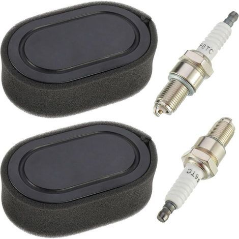 Lawnmower Air Filters and 2 Spark Plugs, for Briggs & Stratton 550E, 550EX, Eco-Plus, and 575EX engines. Replaces 798339, 798452, 593260, 093000er, and 09P0000er. Includes sponge.