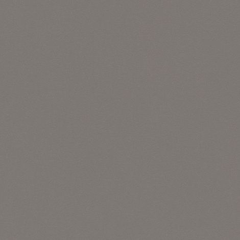 Papier Peint Uni New Life A.S. Creation Papier peint intisse 10.05 m x 0.53 m Anthracite Fabrique en Allemagne 303240 3032-40 (1/4)