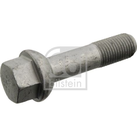VIS 09806 FEBI