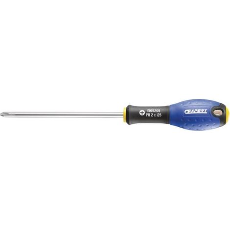 Tournevis Phillips PH1X100 - E165207 - Expert By Facom