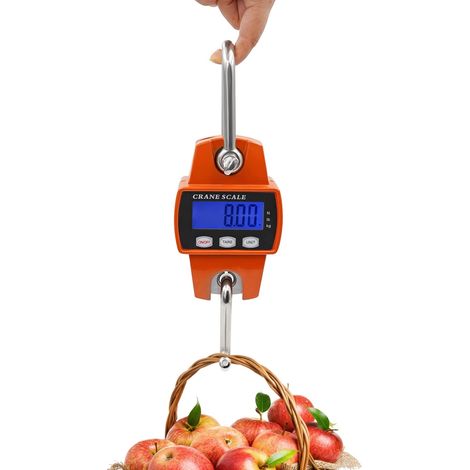 QAZQA Balance de Pesage Numérique 300 kg ,Balance De Levage Lourde Pour Grue A Crochet pour la ferme, la chasse, le plein air, la pêche à la basse, le grand jeu, le grand bagage avec capteur précis
