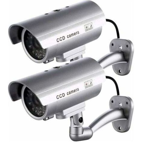 Lot de 2 fausses caméras, fausses caméras d'extérieur pour une utilisation intérieure et extérieure, forme sphérique avec LED clignotante, RTGPT (argent) (1/5)