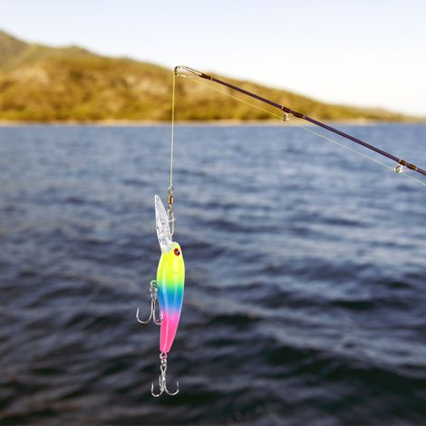 20 Leurres de Pêche Souples Multicolores - Appâts Artificiels Réalistes pour Carnassiers
