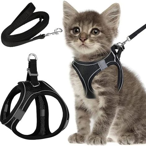 Laisse avec harnais pour chats, harnais anti-fugue pour chats, chatons, chiens et chiots (XXS) (1/5)
