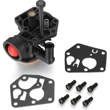 Carburatore per motore Briggs & Stratton Sprint Classic 498809 498809A (1/4)