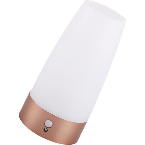 CCYKXAVeilleuse à Piles Lumière Blanche Plastique Solide 60 Lumens Détecteur de Mouvement Mode et économie Intérieur pour Toilettes et Plafond (1/5)