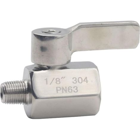 1 Vanne à boisseau sphérique, Acier inoxydable 304, Filetage mâle femelle NPT, DN6 1/8 pouce, Pour pipeline industriel (1/5)
