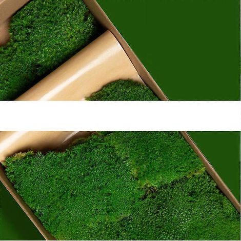 Décoration murale en mousse préservée. Véritable mousse préservée sans entretien. Mousse naturellement préservée - Mousse à poils blancs vert armée. (1/5)