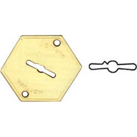 1PZ MOSTRINA ESTERNA IN OTTONE 95147 - mm.52x64 (95147004C1)