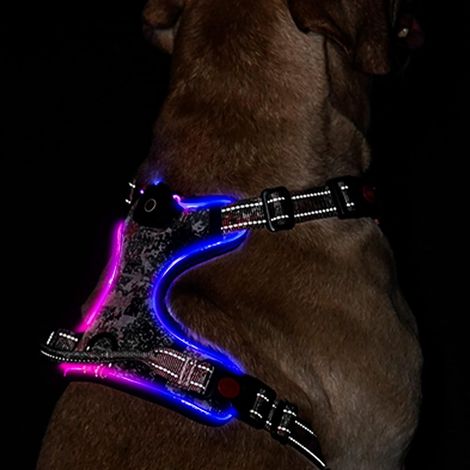 Harnais pour chien lumineux à LED : gilet réglable réfléchissant avec harnais pour animaux de compagnie rechargeable et sans étranglement, poignée de contrôle facile (Camouflage, S)