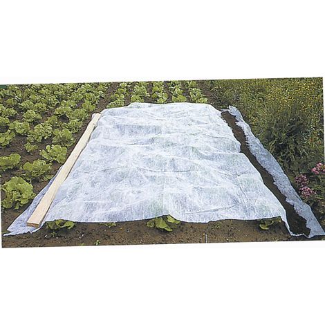 Werka Pro – Voile d'hivernage blanc 30g/m² – 2 x 10 m – Protection contre le froid – Favorise la pousse au printemps - PRO 2 X