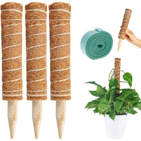 3Pcs Poteau de mousse pour plantes grimpantes, support d'extension, supports pour palmiers et vignes, balcon intérieur, décoration de jardin 40cm (1/5)