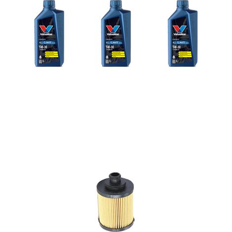 Kit filtro olio e 3L compatibile con Lancia Musa 1.3 Mjt 66kw 2004 (1/3)